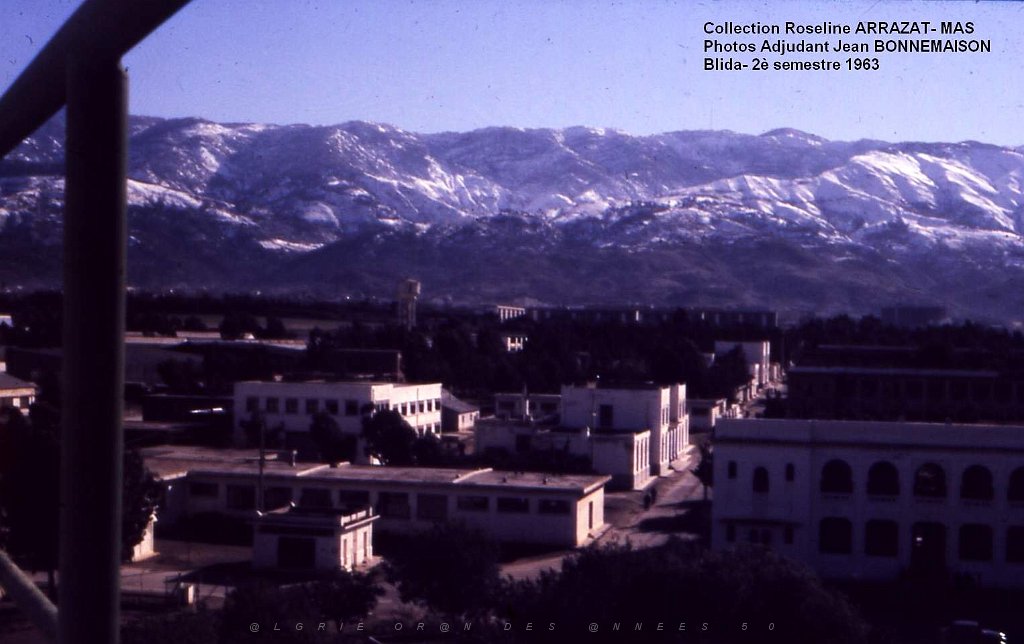 Mas- 140- Blida.jpg